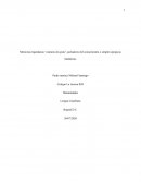 Memorias legendarias “cantares de gesta”, portadores del conocimiento o simples epopeyas fantásticas