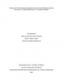 TRABAJO DE PROFUNDIZACIÓN SOBRE CASOS EN DIFERENTES CAMPOS APLICADO A LA REVISORÍA FISCAL Y CONTROL INTERNO