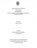 CAMBIOS Y AFECTACIONES QUE SUFREN LOS MICROORAGANISMOS