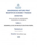 ESTUDIO DE PERFIL CON INGENIERÍA DE PERFIL FASE