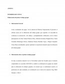 INFORME EJECUTIVO
