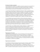 El sistema de nómina conceptual