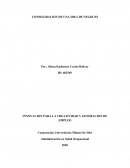 CONSOLIDACION DE UNA IDEA DE NEGOCIO