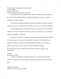Proyecto Anual Educacion Socio Emocional. Página 1