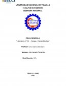 Laboratorio n° 05 – Cargas y campo eléctrico