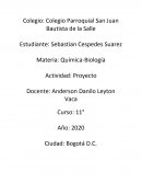 Experimento con plantas