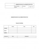 Administracion de caja menor Proyectos