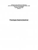 Fisiología gastrointestinal