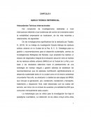 Antecedentes Teóricos internacionales