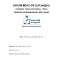 Procesos y procesos de software