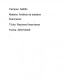 Razones financieras LA ENCANTADA ILI SA DE CV