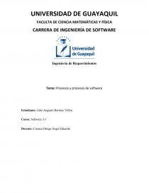 Procesos y procesos de software. Página 1