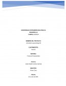 La importancia de la eficiencia de los mercados y su relación con la estructura de capital en la empresa