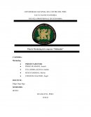 Plan de Marketing de la empresa “Niñolandia"