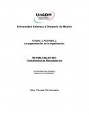 La segmentación en la organización