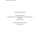 Análisis de Video de Auditoria