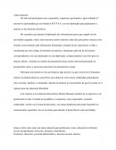 Auto evaluacion de docentes