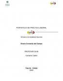 PORTAFOLIO DE PRÁCTICA LABORAL. TÉCNICO EN ADMINISTRACIÓN