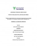 PROYECTO REALIZADO POR LA METODOLOGÍA PMBOK “Diseño e implementación de la estructura de organización para el trabajo sin fronteras, en la empresa American Group Corporation S.C.”