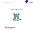Informe evaluacion de proyectos