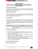 SERVICIO DE ASISTENCIA TECNICAS DE INSPECCION PARA LA CARRETERAS CHECCA