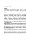 Tratamiento de aguas residuales Ensayo UASB