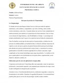 Prácticas Preprofesionales Guía para la práctica de Telepsicología