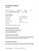 HISTORIA CLÍNICA EMBARAZO