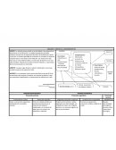 ESQUEMA Y ORIGEN DE LA RADIODERMATITIS
