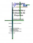 ESTUDIO DE MERCADO FOFO-NICE