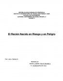 El Recién Nacido en Riesgo y en Peligro