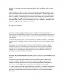 Análisis Portafolio Sophie