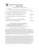 SIMULACRO ACUMULATIVA LENGUA CASTELLANA