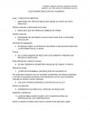 CUESTIONARIO DEL MEZCLADO DE POLIMEROS