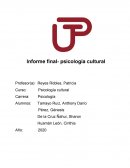 Informe final- psicología cultural