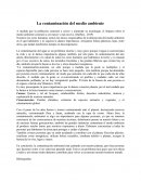 La contaminación del medio ambiente