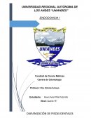 DIAFANIZACIÓN DENTAL Y ANATOMÍA