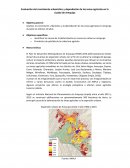 Evaluación de la deforestación de las zonas agrícolas de Arequipa entre el año 2010 al 2020