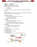 Huesos del miembro superior. CLAVÍCULA, ESCÁPULA, HÚMERO