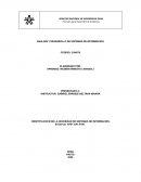 IDENTIFICACIÓN DE LA NECESIDAD DE SISTEMAS DE INFORMACIÓN