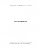 SISTEMA GENERAL DE LA SEGURIDAD SOCIAL EN COLOMBIA