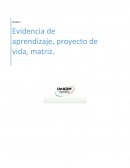 Evidencia de aprendizaje, proyecto de vida, matriz