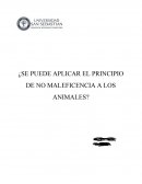 ¿Se puede aplicar el principio de no maleficencia a los animales?