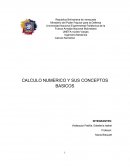 CALCULO NUMERICO Y SUS CONCEPTOS BASICOS