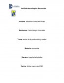ECONOMIA. Tema: teoría de la producción y costos
