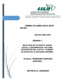 SEMANA 1. SELECCIÓN DE UN OBJETO, RAZÓN SOCIAL O DENOMINACIÓN, ASÍ COMO DESCRIPCIÓN DEL CAPITAL Y NÚMERO DE SOCIOS DE LA SOCIEDAD ANÓNIMA