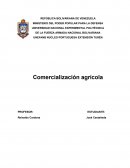 Comercialización agrícola