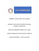 MODELOS DE VINCULACION Y EMPLEO