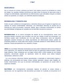Fundamentos de enfermeria CYMAT