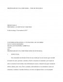 Propiedades de una comunidad